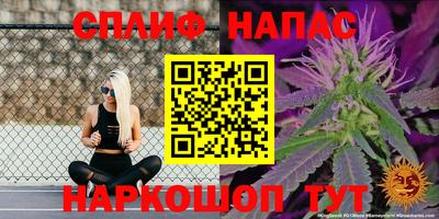 индика Нарткала